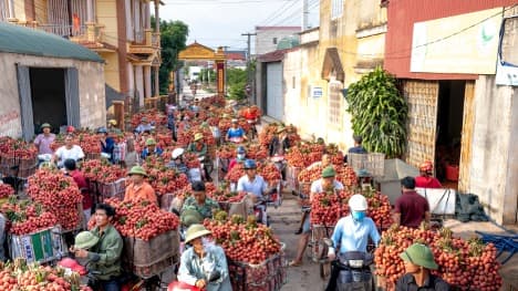 Enabling South-South and triangular cooperation among countries in support of the Asia-Pacific climate-resilient development goals (2021)