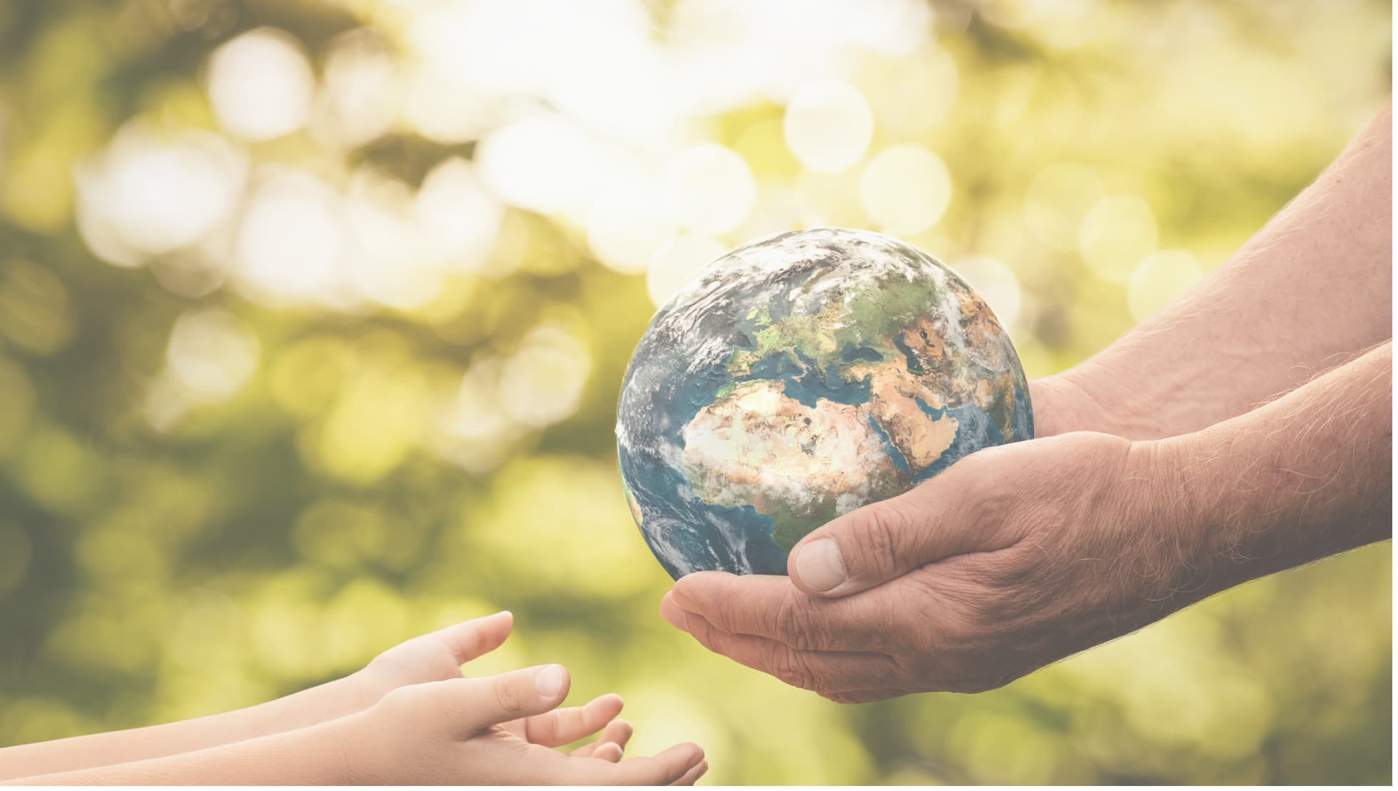 Green Growth-Use of Sankey Diagrams for Material Flows (2014-2021)